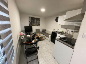 Agréable et spacieux appartement